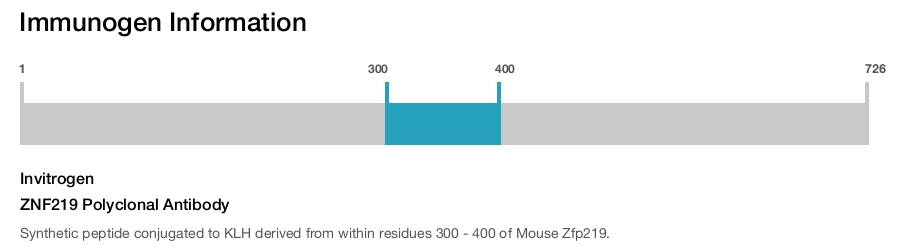 ZNF219 Polyclonal Antibody