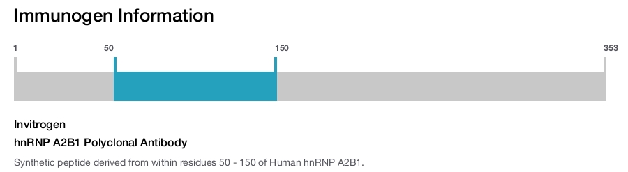 hnRNP A2B1 Polyclonal Antibody