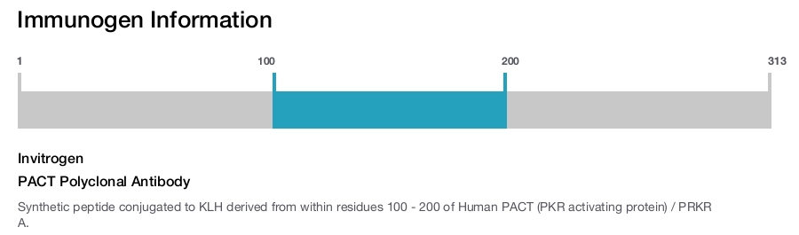 PACT Polyclonal Antibody