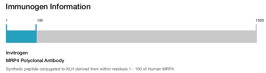 MRP4 Polyclonal Antibody