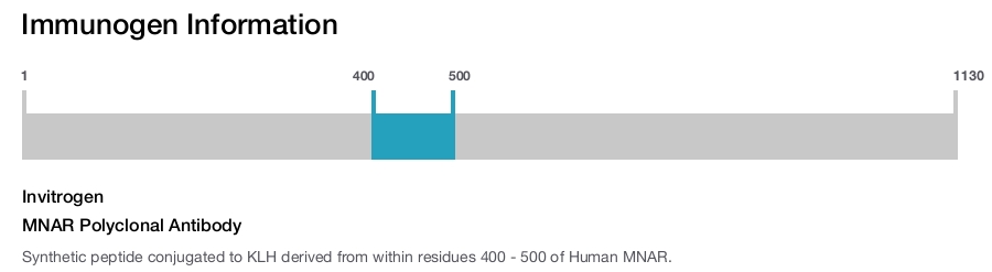 MNAR Polyclonal Antibody
