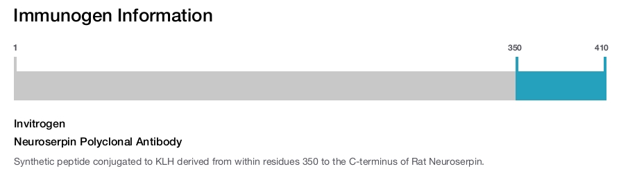 Neuroserpin Polyclonal Antibody
