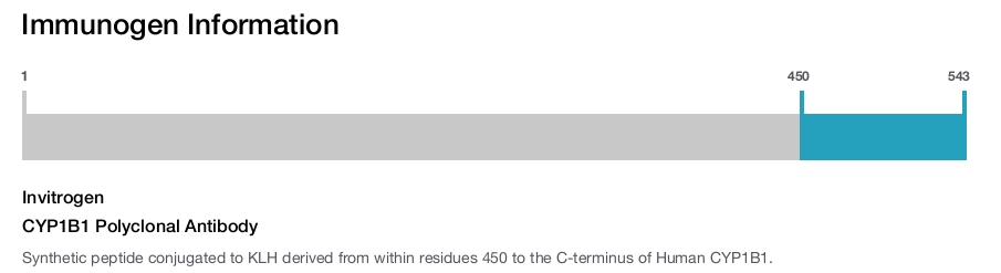 CYP1B1 Polyclonal Antibody