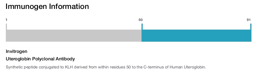 Uteroglobin Polyclonal Antibody