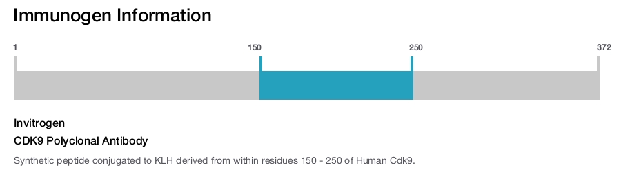 CDK9 Polyclonal Antibody