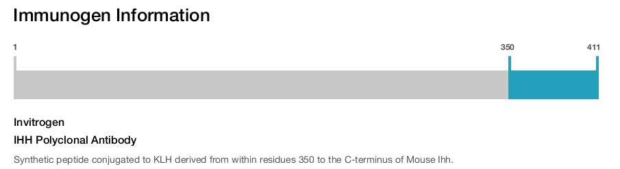 IHH Polyclonal Antibody