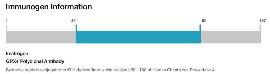 GPX4 Polyclonal Antibody