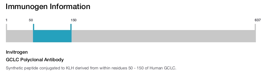 GCLC Polyclonal Antibody