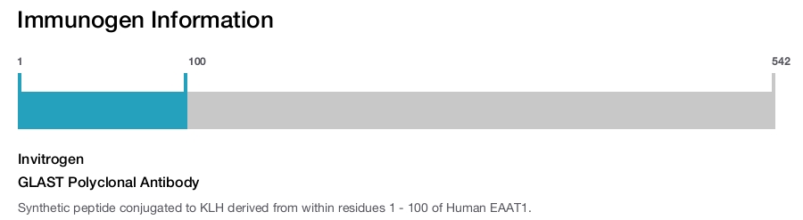 GLAST Polyclonal Antibody
