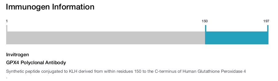 GPX4 Polyclonal Antibody