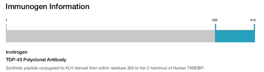 TDP-43 Polyclonal Antibody