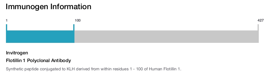 Flotillin 1 Polyclonal Antibody