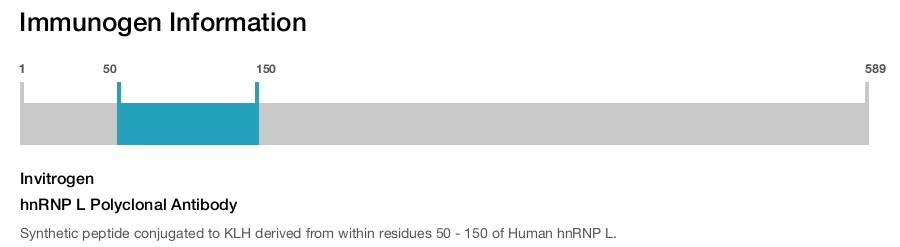 hnRNP L Polyclonal Antibody