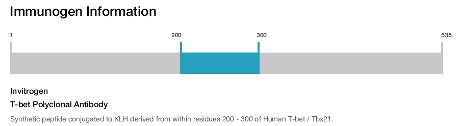 T-bet Polyclonal Antibody