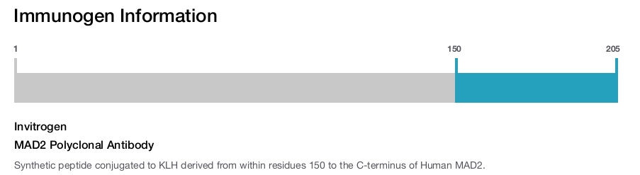 MAD2 Polyclonal Antibody