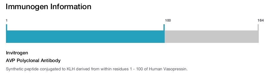 AVP Polyclonal Antibody