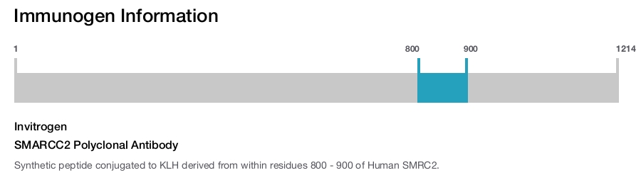 SMARCC2 Polyclonal Antibody