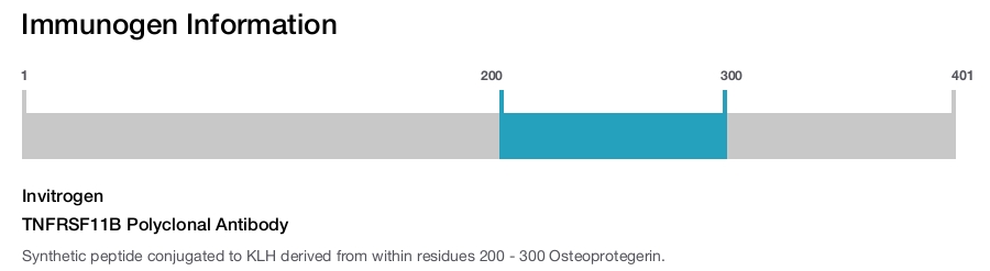 TNFRSF11B Polyclonal Antibody