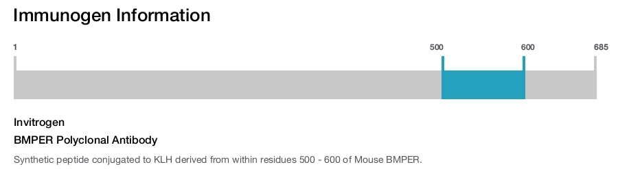 BMPER Polyclonal Antibody