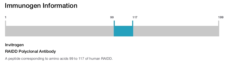 RAIDD Polyclonal Antibody