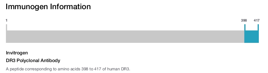 DR3 Polyclonal Antibody