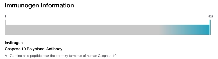 Caspase 10 Polyclonal Antibody