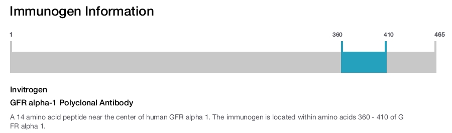GFR alpha-1 Polyclonal Antibody