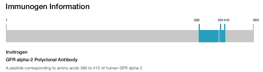 GFR alpha-2 Polyclonal Antibody