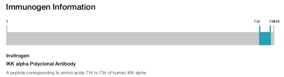 IKK alpha Polyclonal Antibody