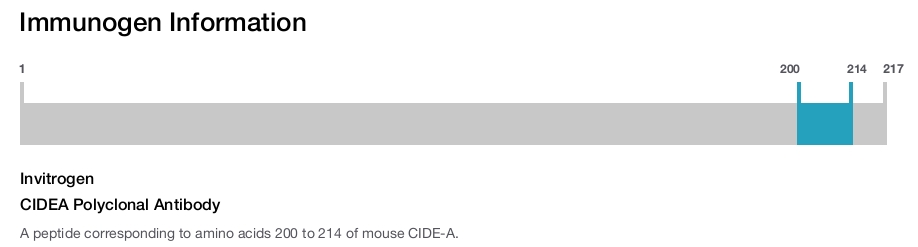 CIDEA Polyclonal Antibody