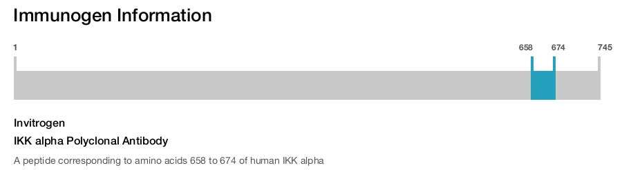 IKK alpha Polyclonal Antibody