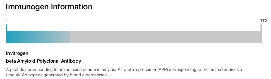 beta Amyloid Polyclonal Antibody