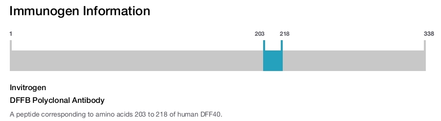 DFFB Polyclonal Antibody