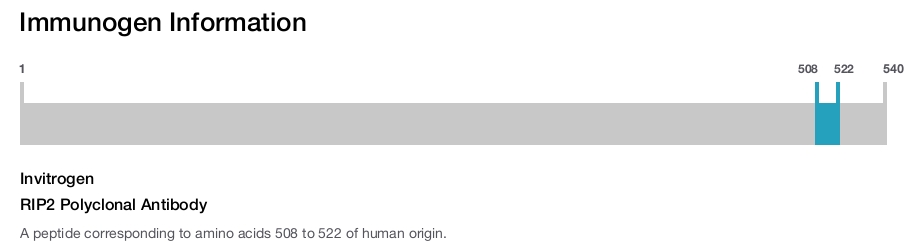 RIP2 Polyclonal Antibody