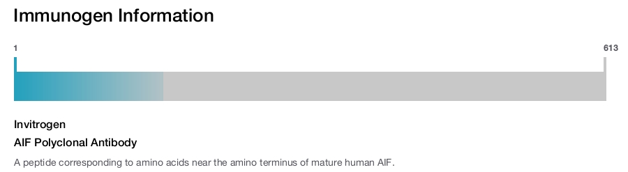 AIF Polyclonal Antibody