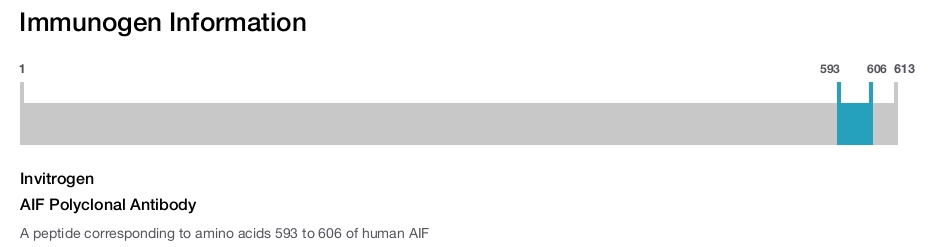 AIF Polyclonal Antibody