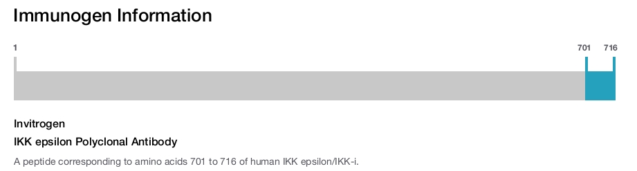 IKK epsilon Polyclonal Antibody