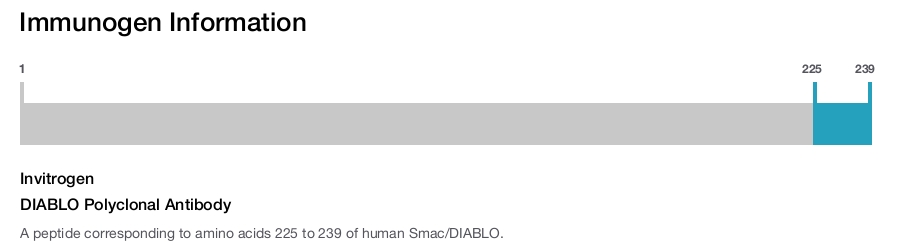 DIABLO Polyclonal Antibody