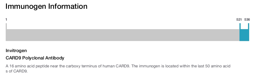 CARD9 Polyclonal Antibody