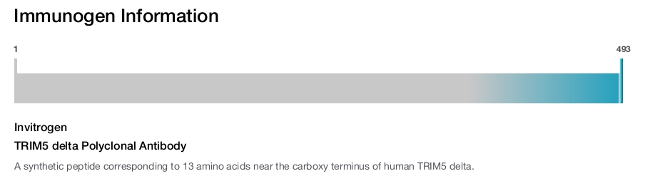 TRIM5 delta Polyclonal Antibody