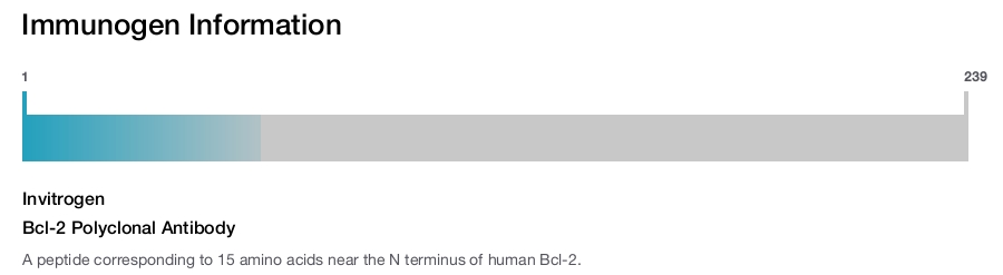 Bcl-2 Polyclonal Antibody