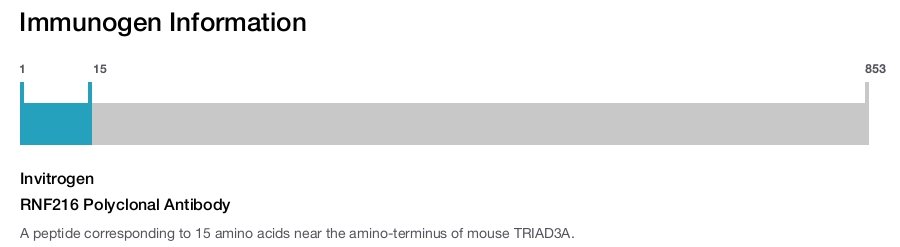 RNF216 Polyclonal Antibody