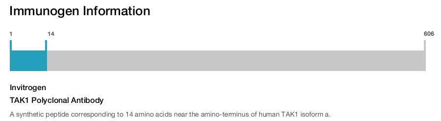 TAK1 Polyclonal Antibody