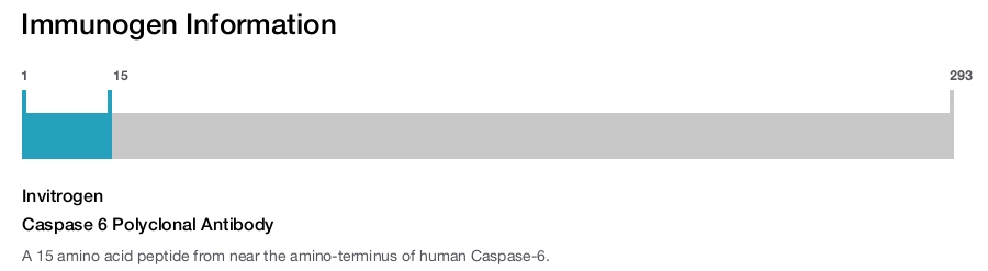 Caspase 6 Polyclonal Antibody