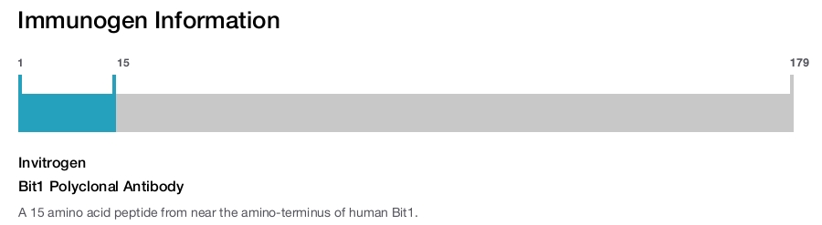 Bit1 Polyclonal Antibody