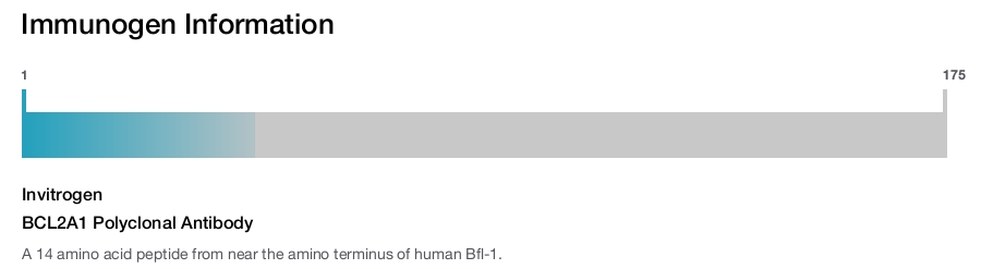 BCL2A1 Polyclonal Antibody