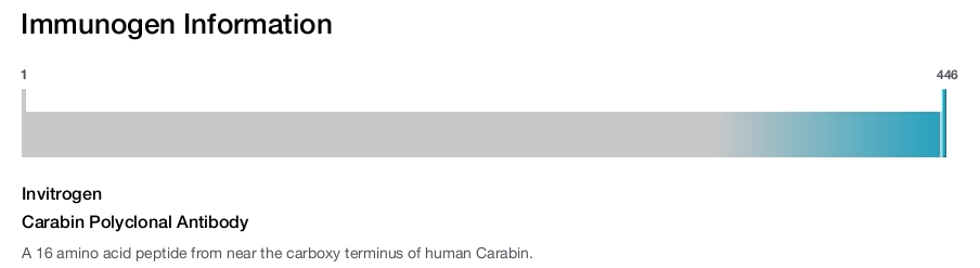 Carabin Polyclonal Antibody