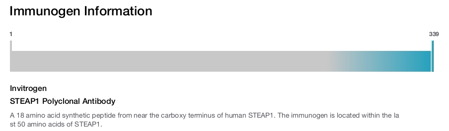 STEAP1 Polyclonal Antibody