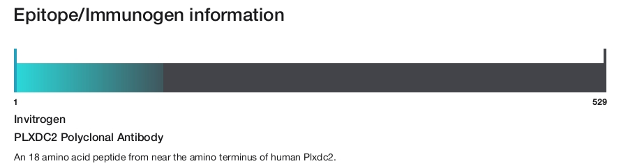 PLXDC2 Polyclonal Antibody