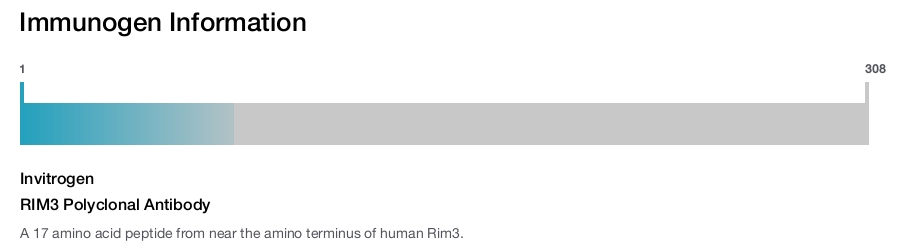 RIM3 Polyclonal Antibody
